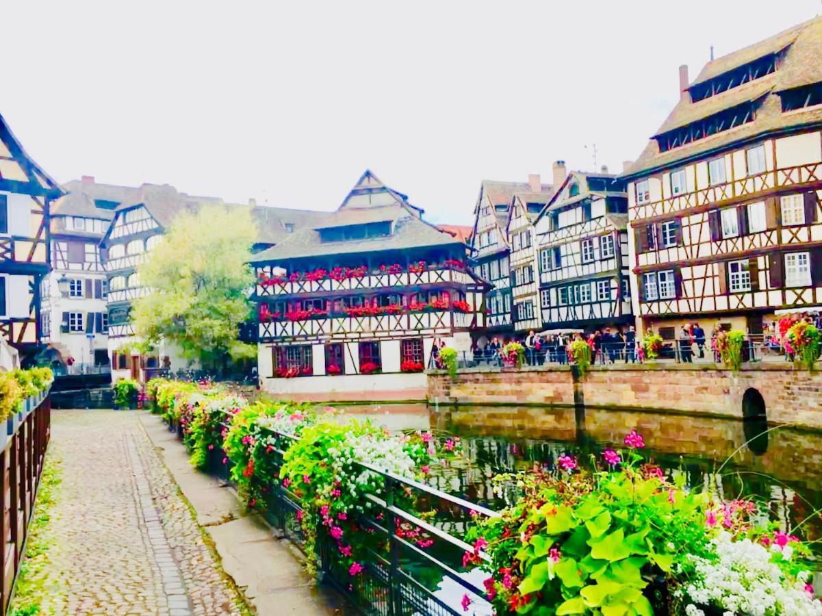 Cosy & Quiet Flat In Historical Lively Center Of Strasbourg 아파트 외부 사진