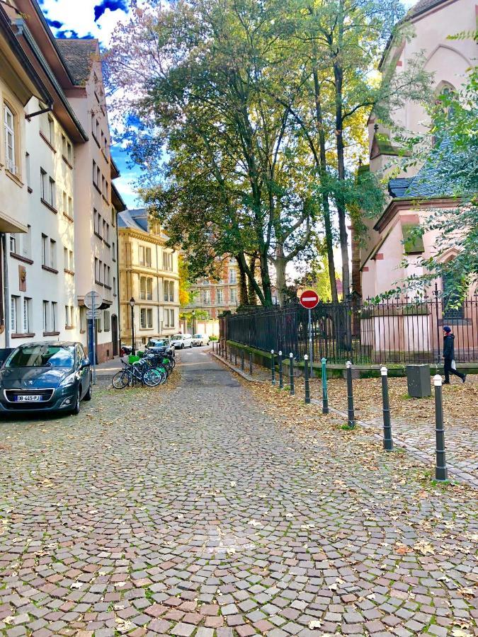 Cosy & Quiet Flat In Historical Lively Center Of Strasbourg 아파트 외부 사진
